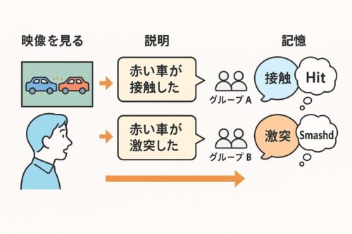 心理学者エリザベス・ロフタス博士の実験図解